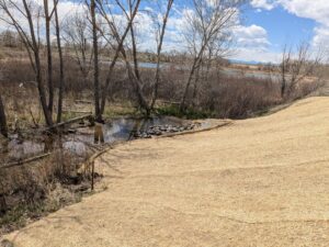 Example of Erosion Control Blanket on a slope